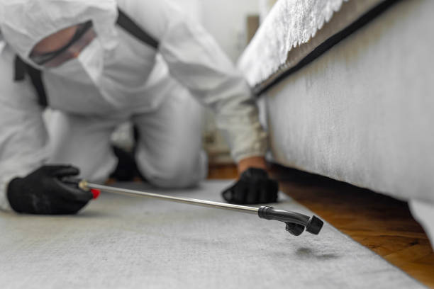 Professional Cockroach Control technician working in Swainsboro, GA