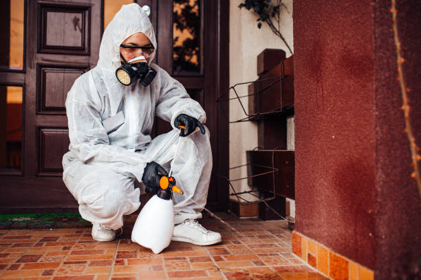 Reliable Cockroach Control contractor in Swainsboro, GA by Nex Pest Control