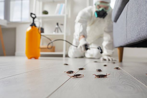 Trusted Rodent Control service in Swainsboro, GA - Nex Pest Control