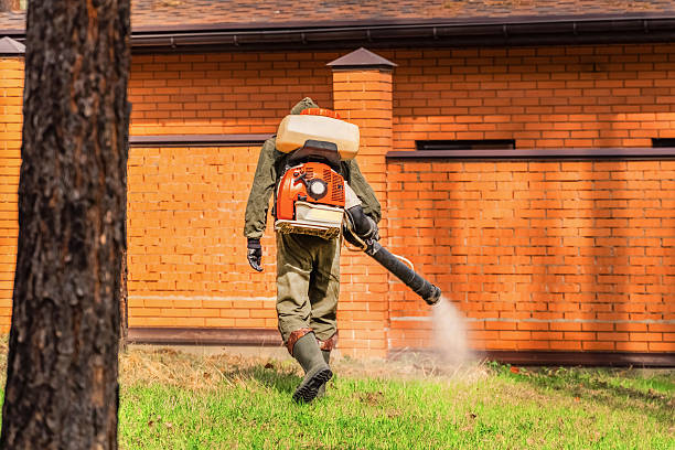 Trusted Termite Control service in Swainsboro, GA - Nex Pest Control